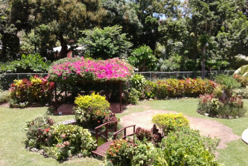 WhatsApp Image 2021-11-11 at 1.33.56 PM (1)