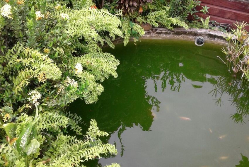 WhatsApp Image 2021-11-11 at 1.34.01 PM