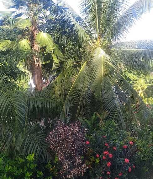 WhatsApp Image 2022-12-14 at 11.45.50