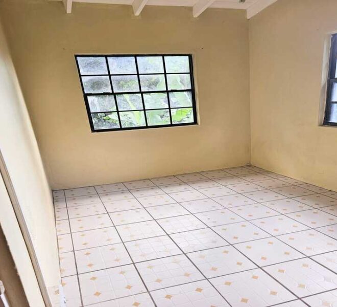 WhatsApp Image 2025-10-21 at 3.14.03 PM