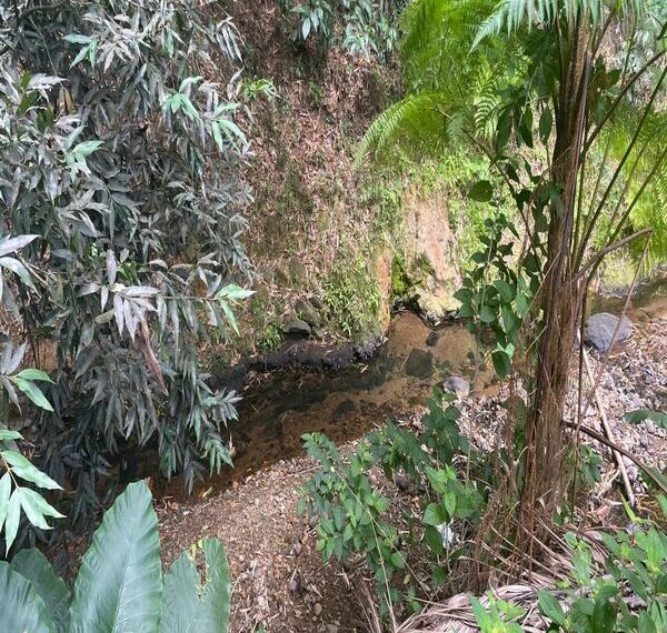 WhatsApp Image 2026-04-23 at 3.12.23 PM