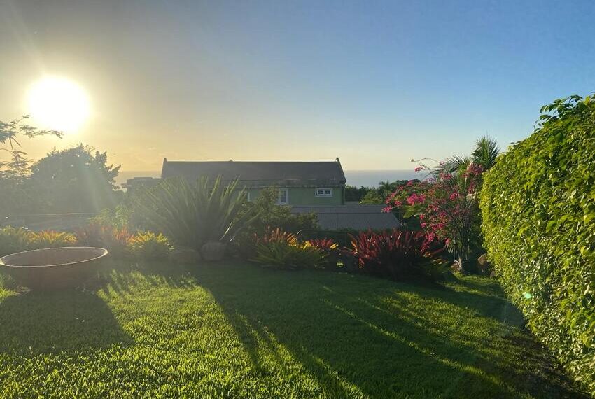 WhatsApp Image 2025-08-11 at 10.54.46 AM