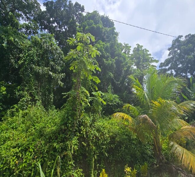 IMG-20251017-WA0014-copy-0