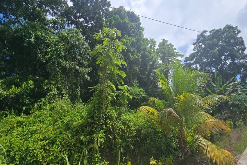 IMG-20251017-WA0014-copy-0