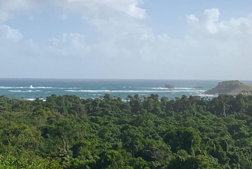 WhatsApp Image 2025-09-30 at 5.25.36 PM