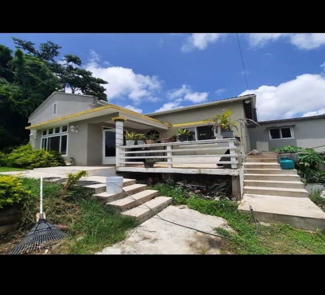 WhatsApp Image 2025-11-30 at 7.02.06 AM