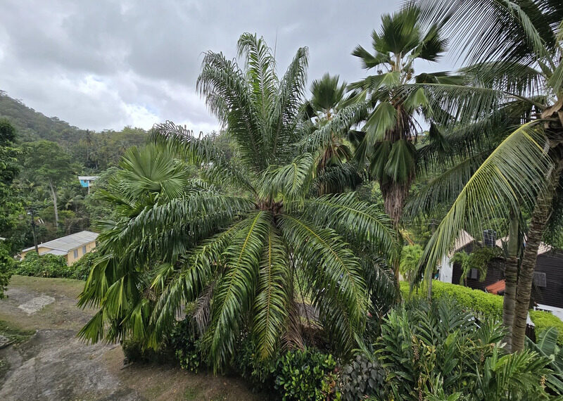 bcf602_350d9c1355044d15bc401c8b90974d0c~mv2