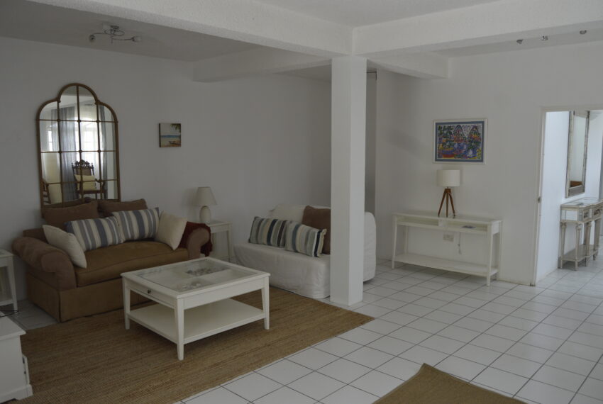 downstairs tv room