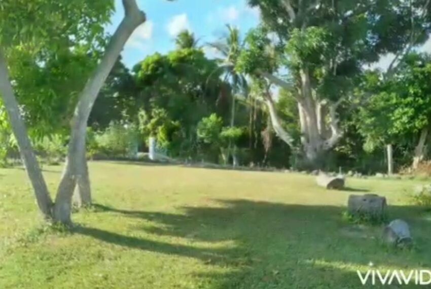 grounds 3