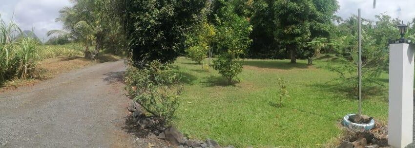 grounds 4