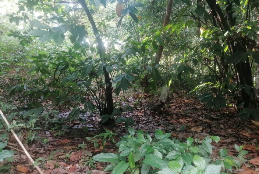 land 3